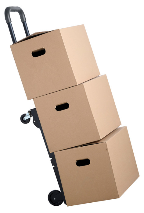 2-i-1 transportvogn - Probuilder